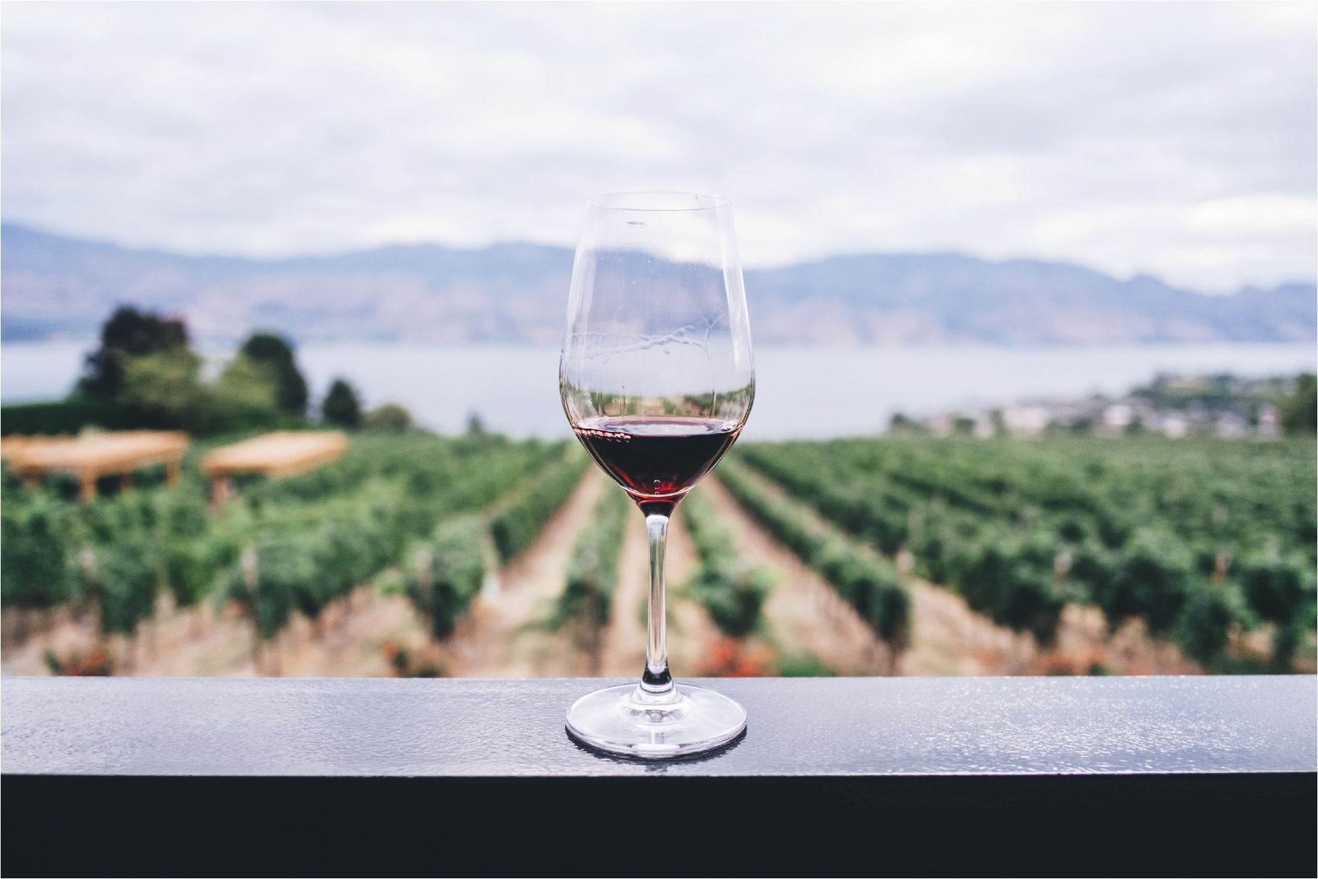 Vins Duvernay: A Long History